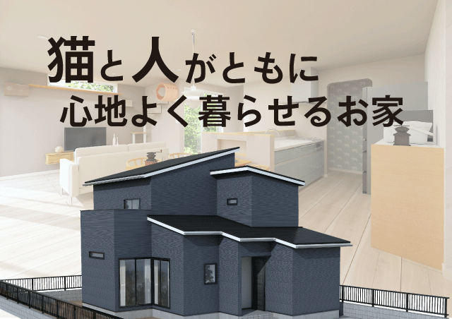 お客様とつくりあげる家づくり日記　Vol.48　～猫と人がともに心地よく暮らせるお家～